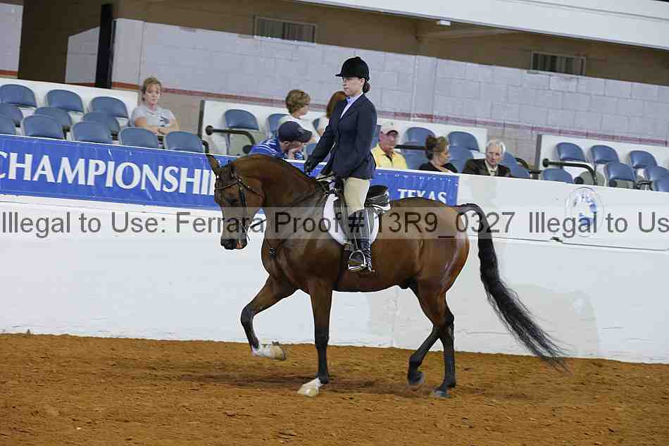 Proof 13r9_0327