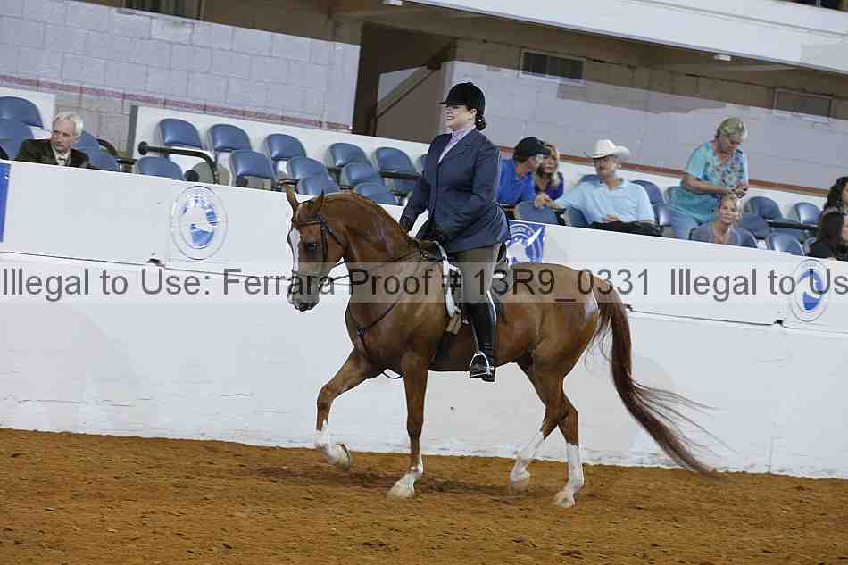 Proof 13r9_0331