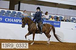 13r9_0332 proof