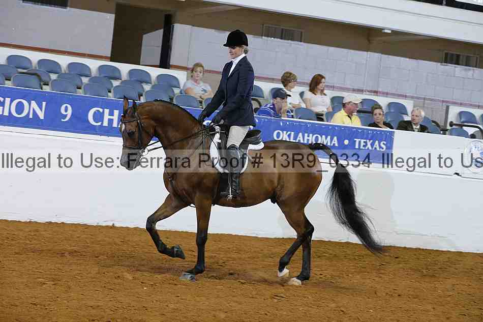 Proof 13r9_0334