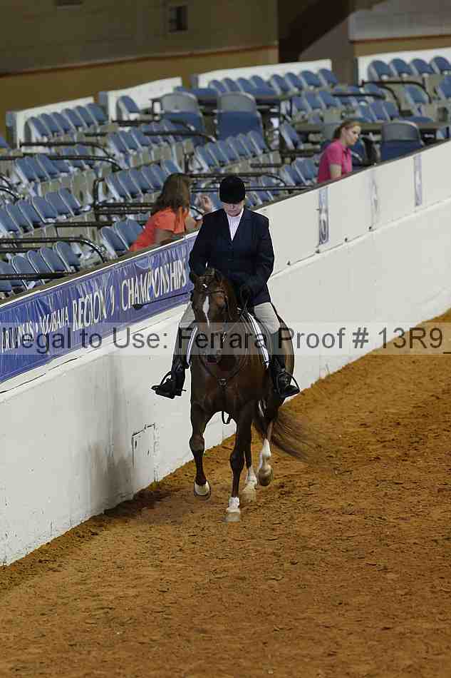 Proof 13r9_0335
