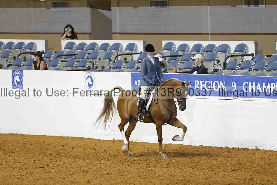 Proof 13r9_0337
