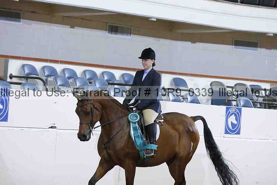 Proof 13r9_0339