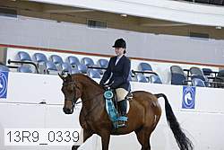 13r9_0339 proof