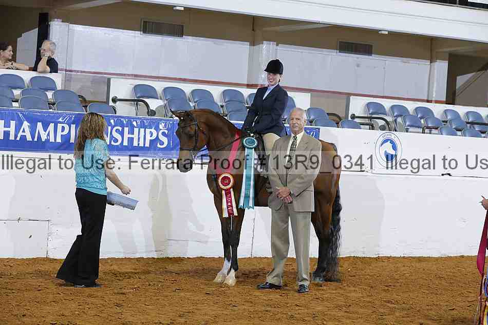 Proof 13r9_0341