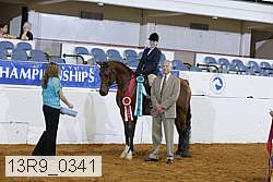 13r9_0341 proof