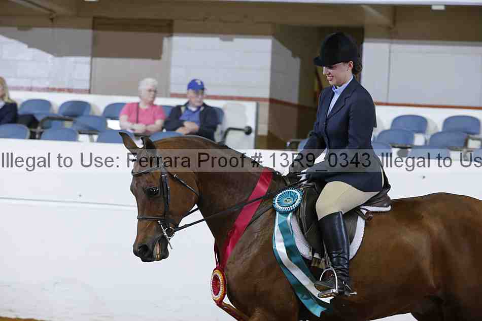 Proof 13r9_0343