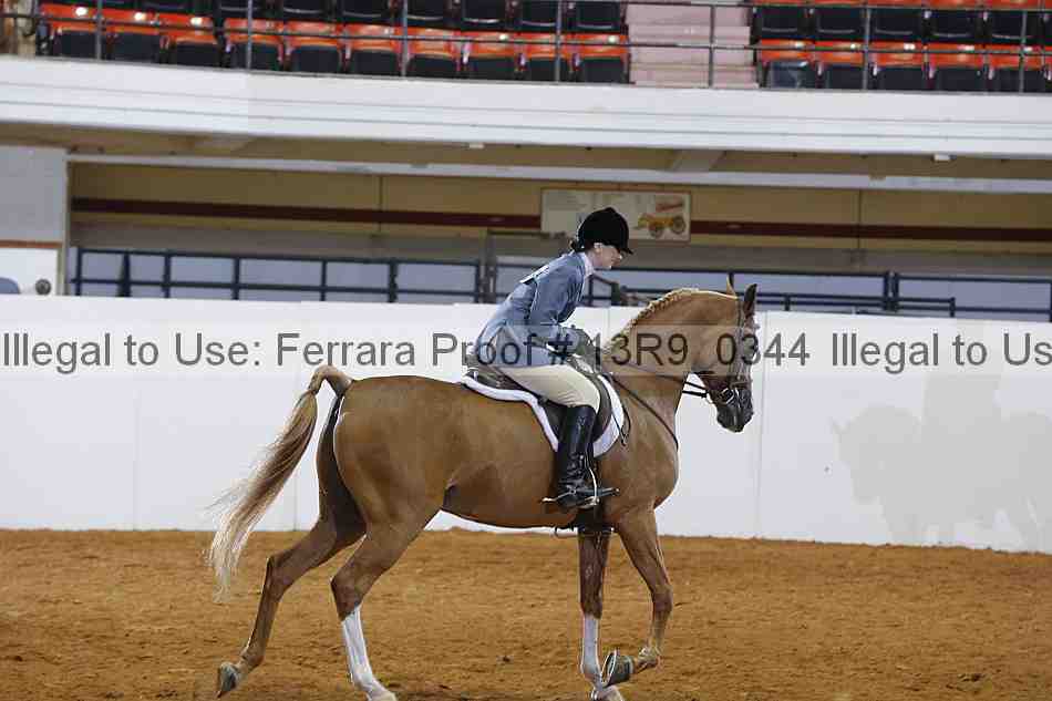 Proof 13r9_0344