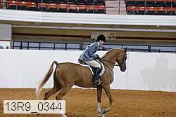 13r9_0344 proof