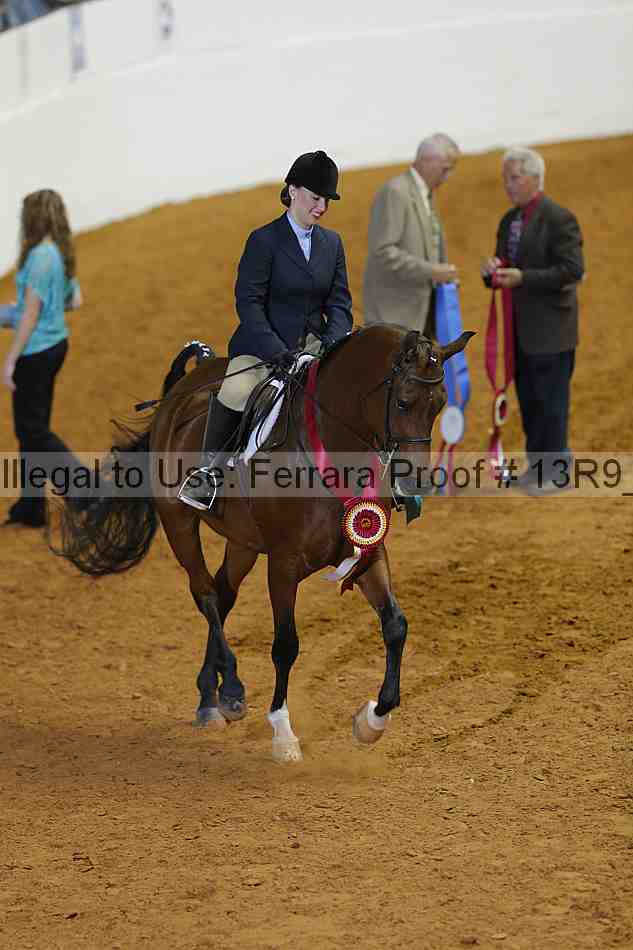 Proof 13r9_0345