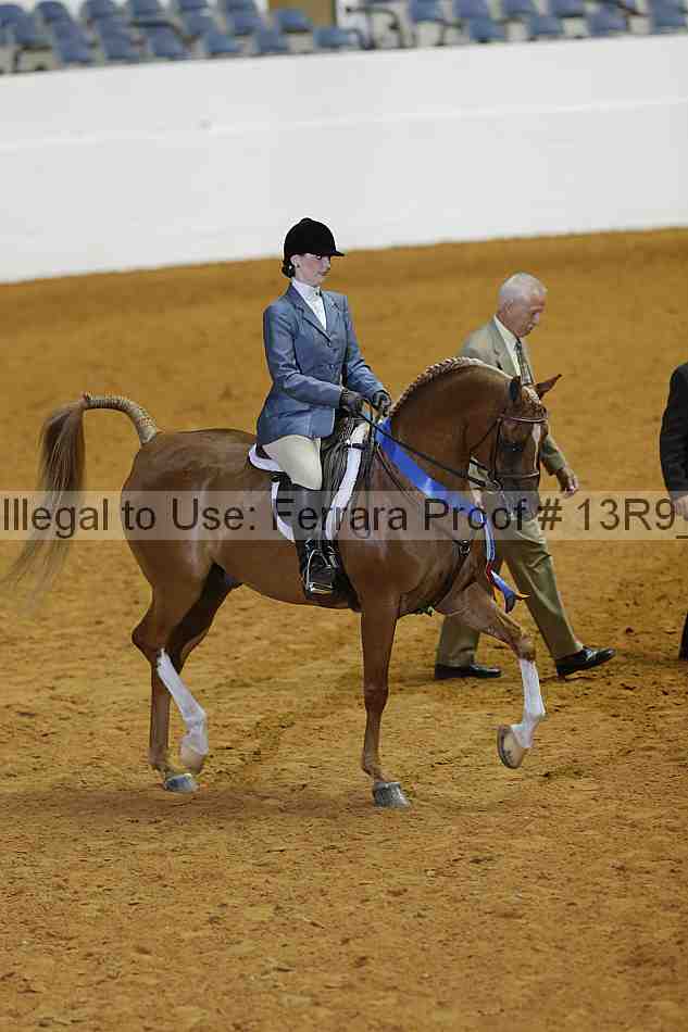 Proof 13r9_0347