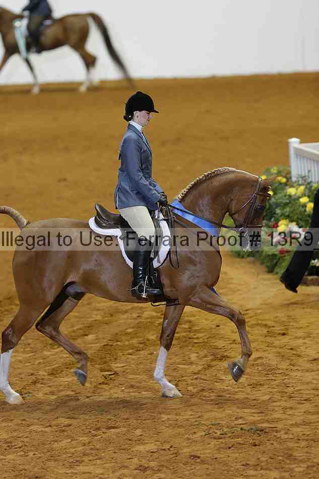 Proof 13r9_0348