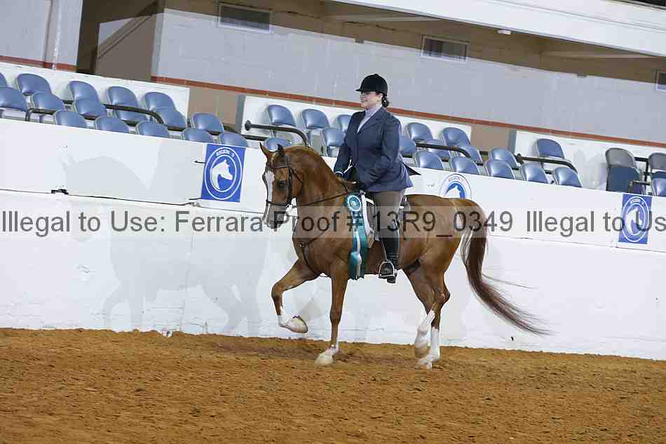 Proof 13r9_0349