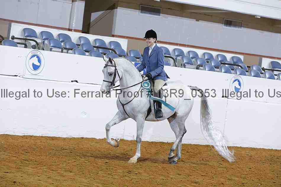 Proof 13r9_0353