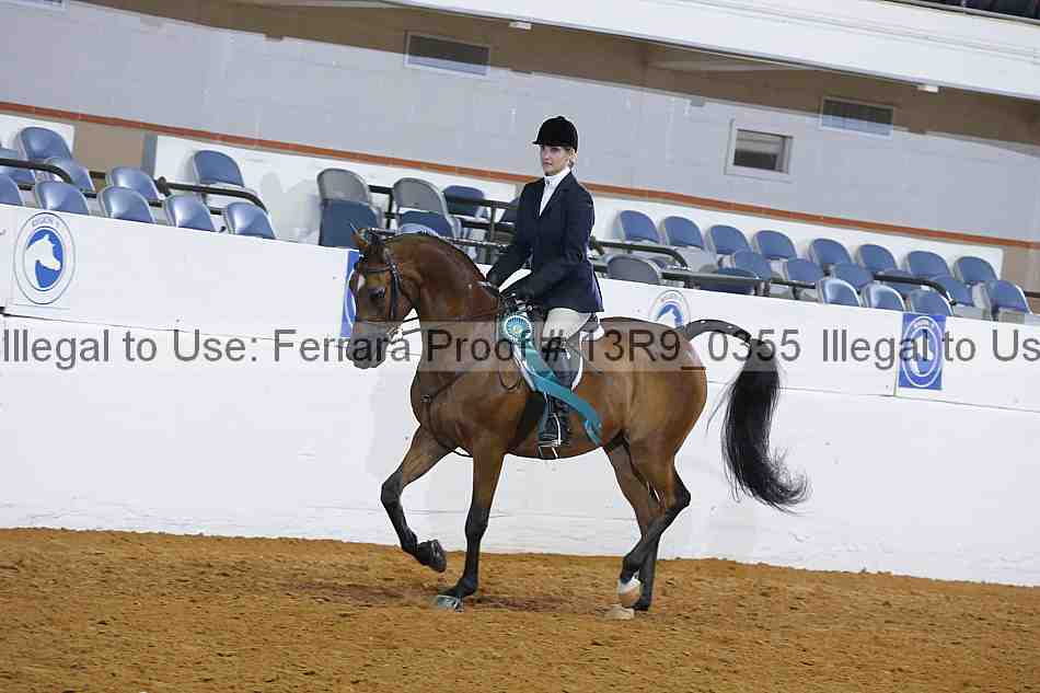 Proof 13r9_0355