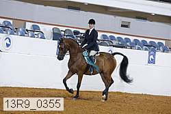 13r9_0355 proof