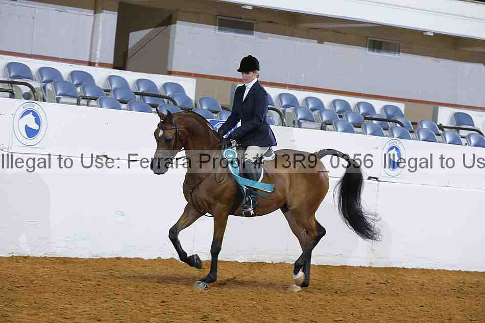 Proof 13r9_0356
