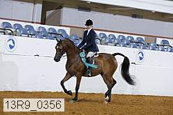 13r9_0356 proof