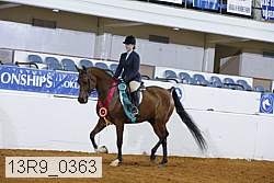 13r9_0363 proof