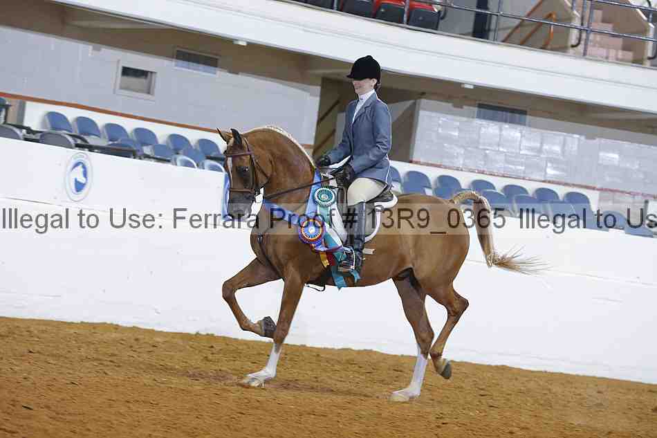 Proof 13r9_0365