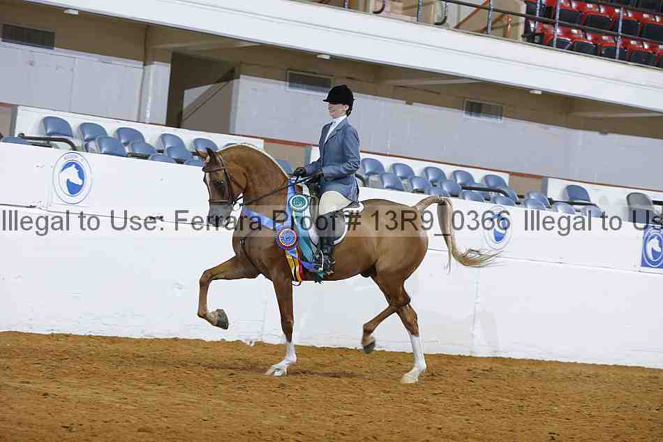 Proof 13r9_0366