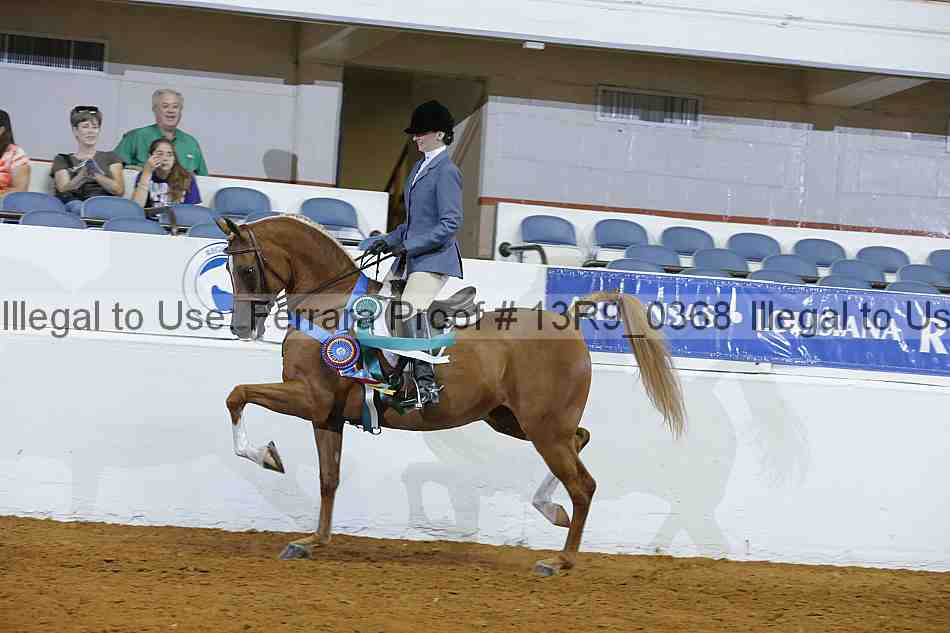 Proof 13r9_0368