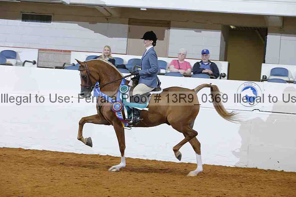 Proof 13r9_0369