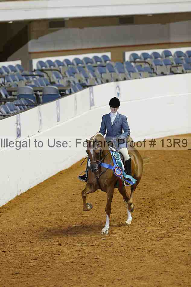 Proof 13r9_0370