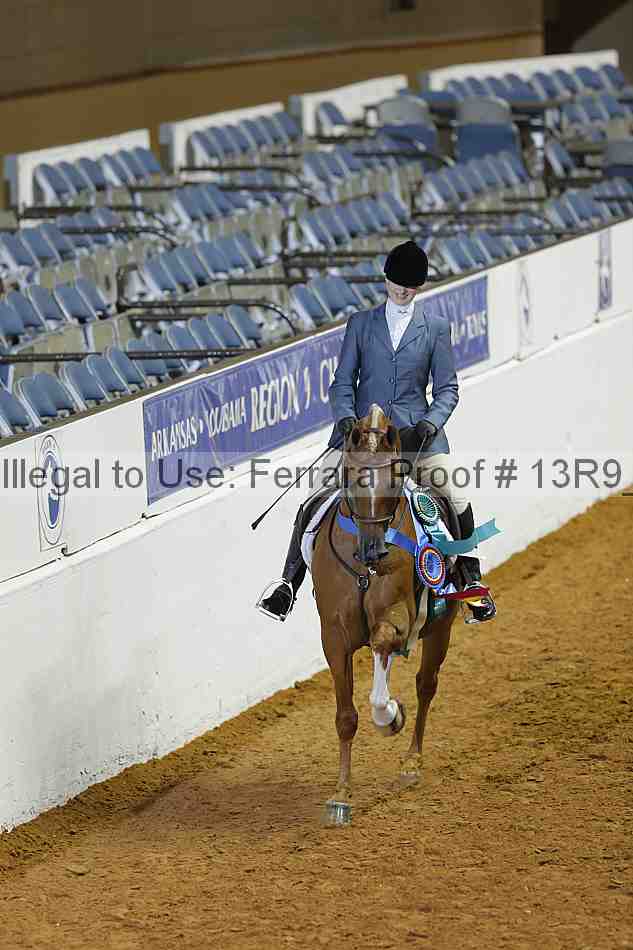 Proof 13r9_0371