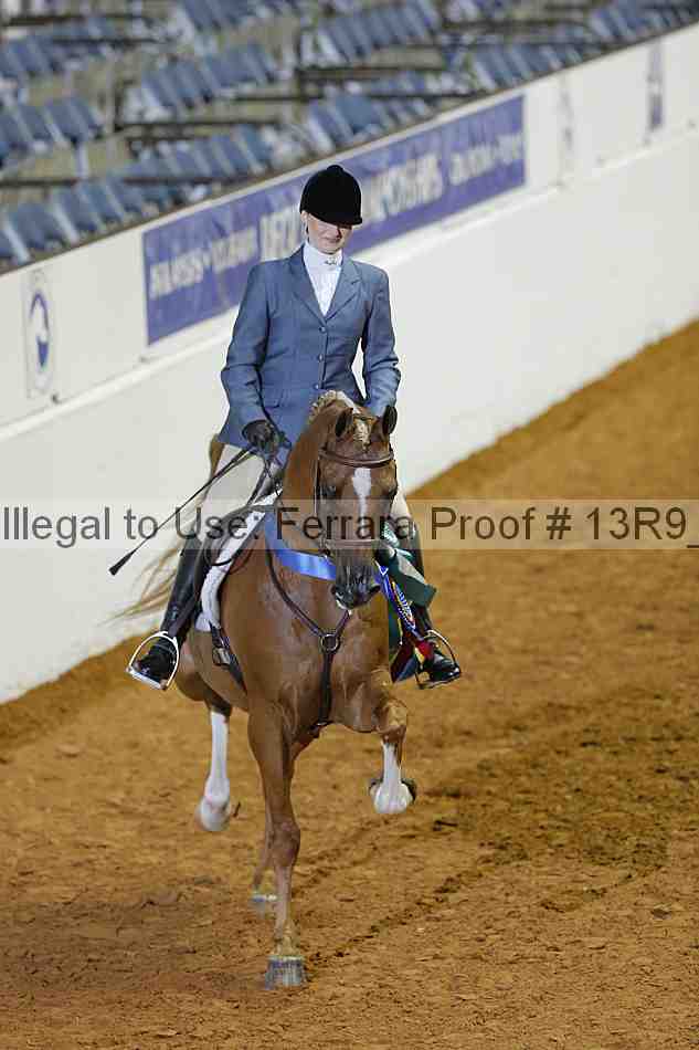Proof 13r9_0372