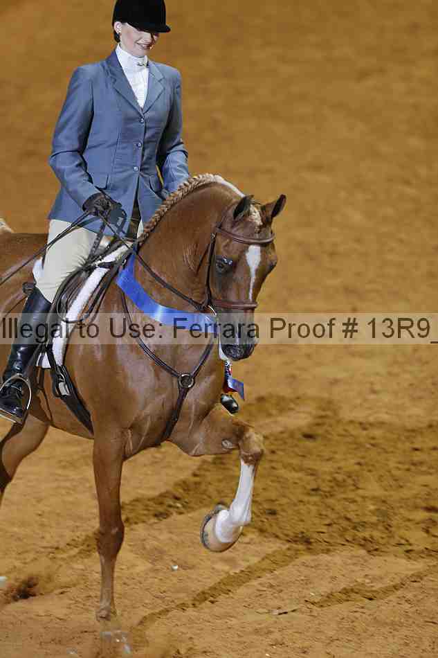 Proof 13r9_0373