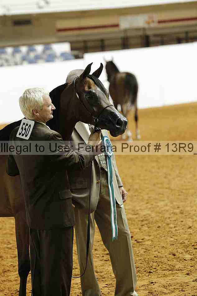 Proof 13r9_0374