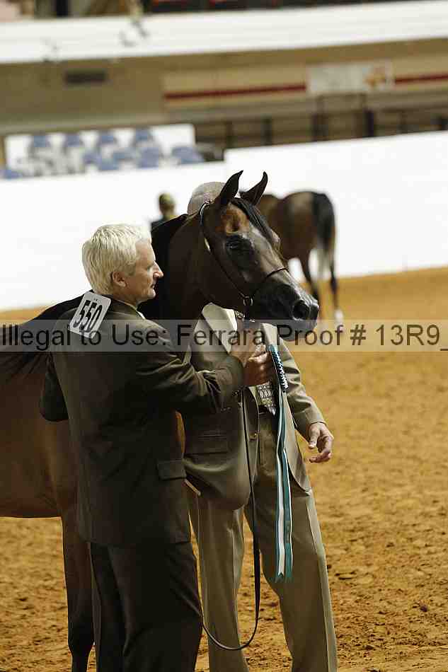Proof 13r9_0375