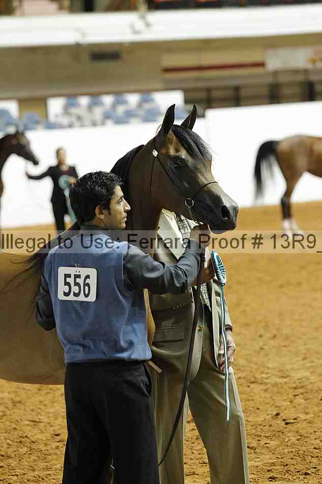 Proof 13r9_0376
