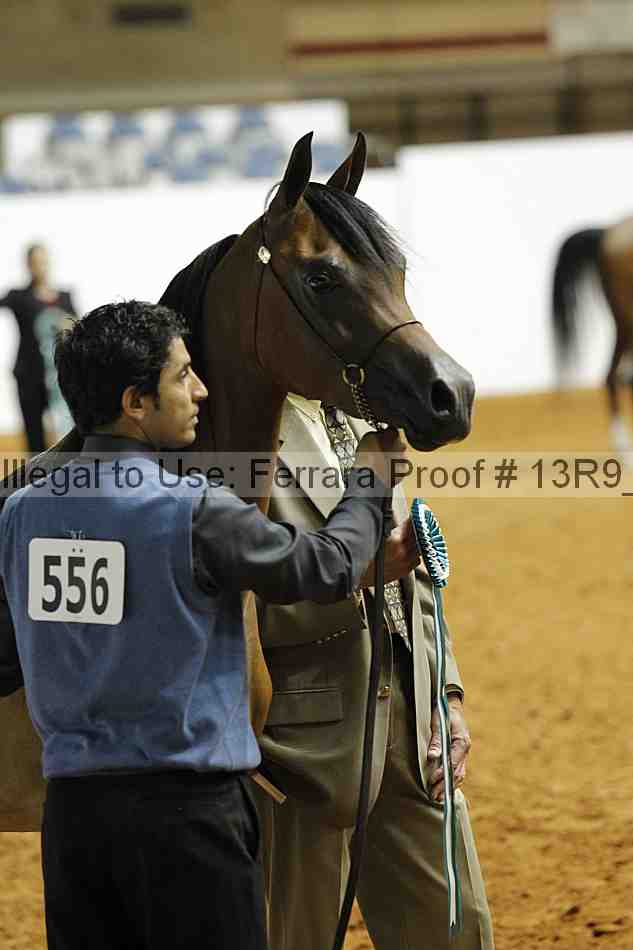 Proof 13r9_0377