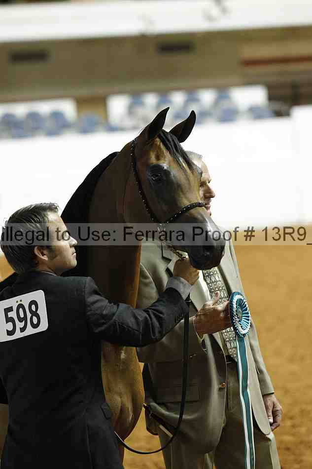 Proof 13r9_0378