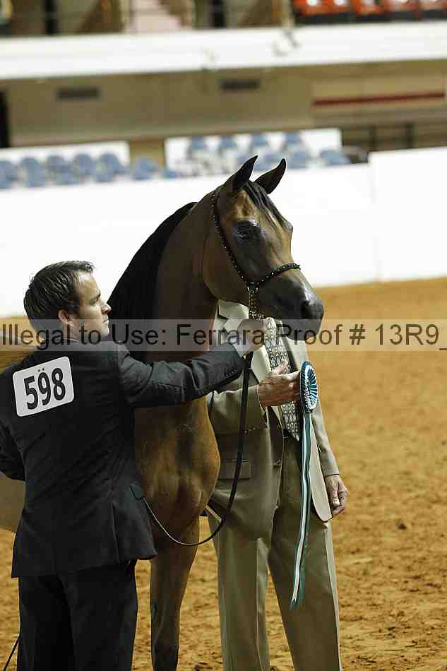 Proof 13r9_0379