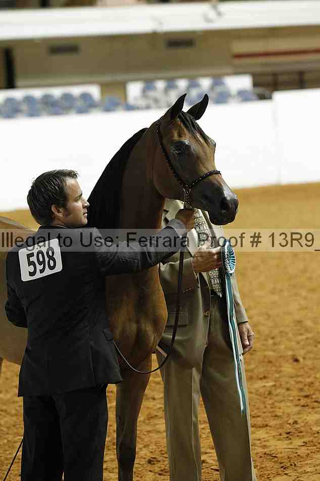 Proof 13r9_0380