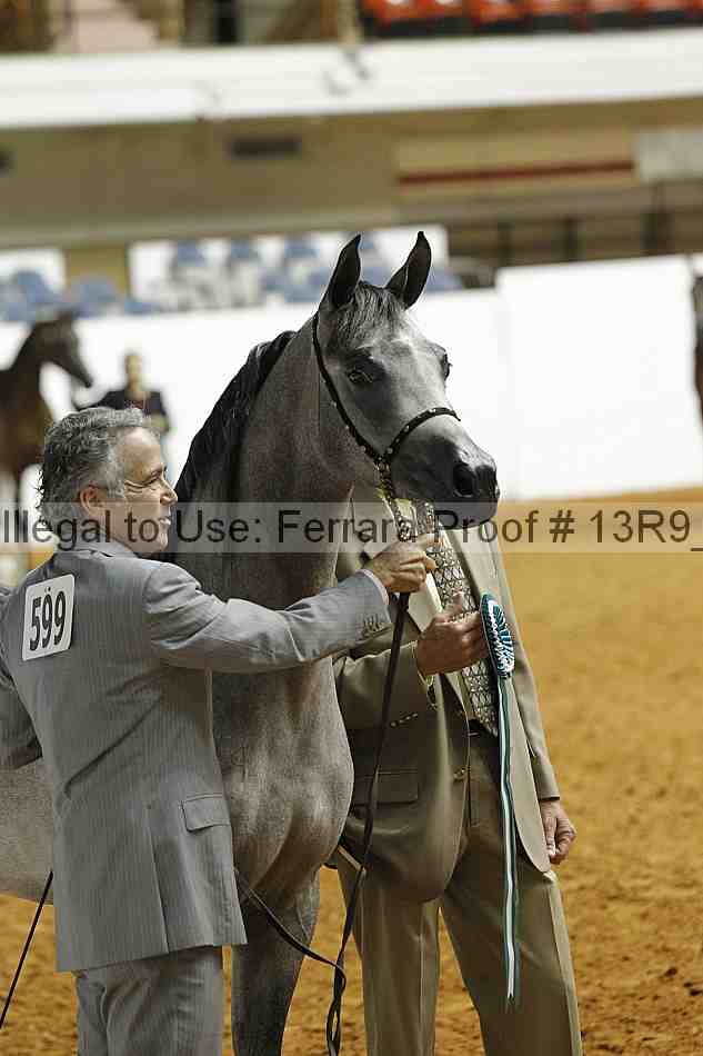 Proof 13r9_0381