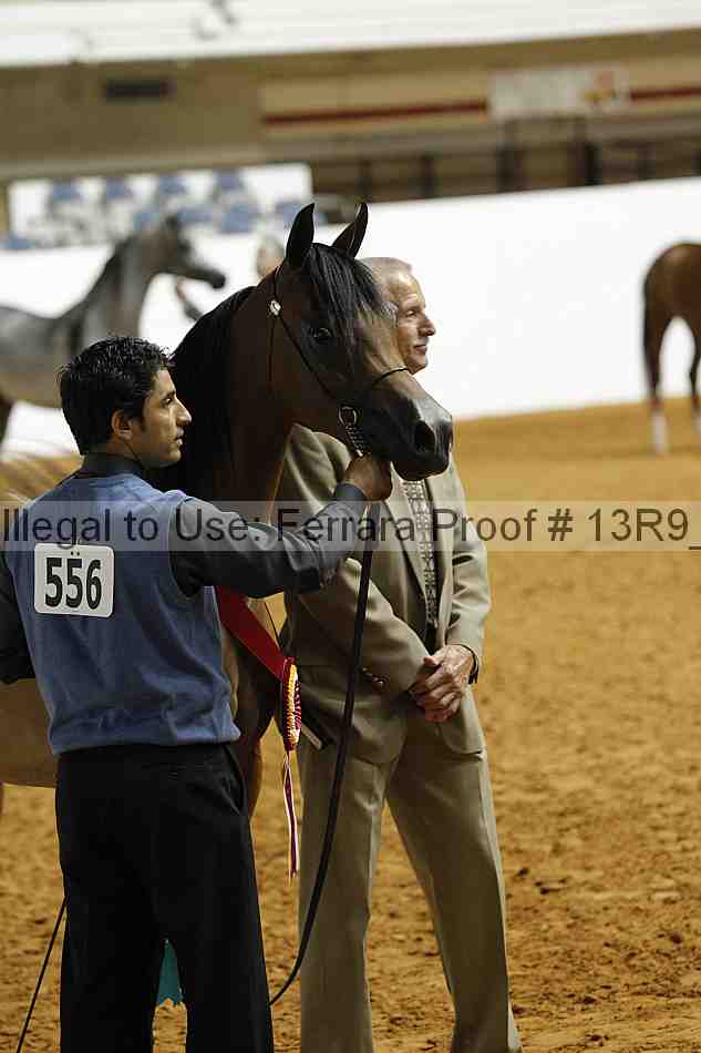 Proof 13r9_0382