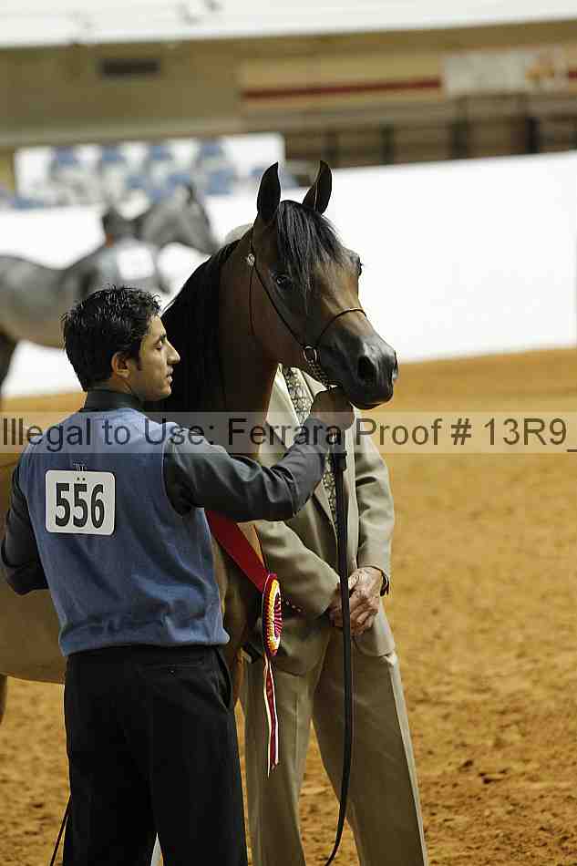 Proof 13r9_0383