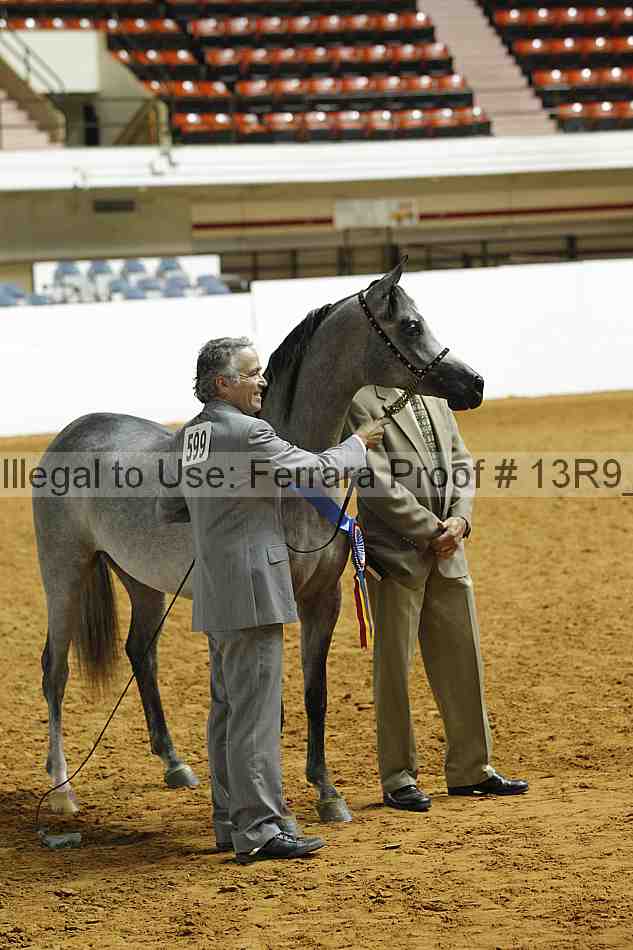 Proof 13r9_0384