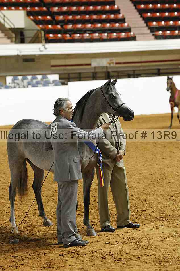 Proof 13r9_0385