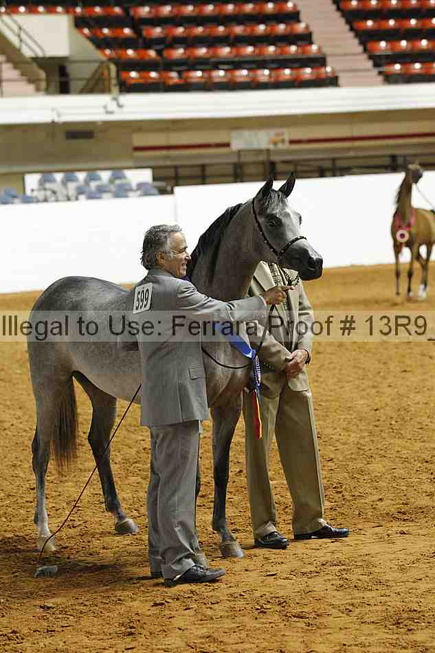 Proof 13r9_0386