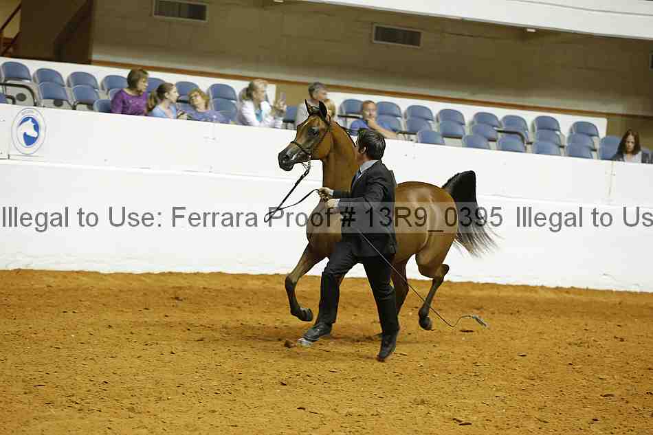 Proof 13r9_0395