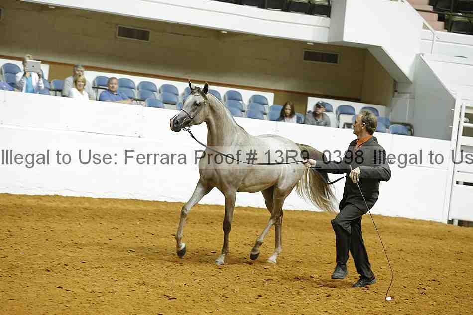 Proof 13r9_0398