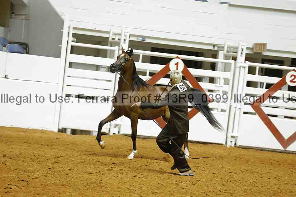 Proof 13r9_0399
