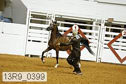 13r9_0399 proof