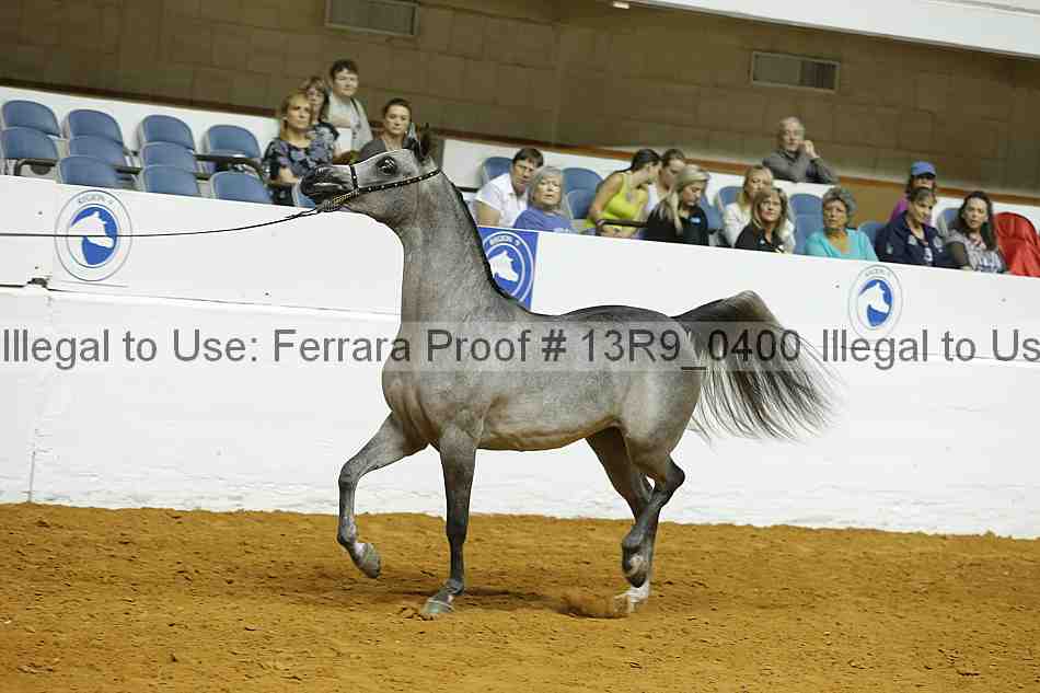 Proof 13r9_0400