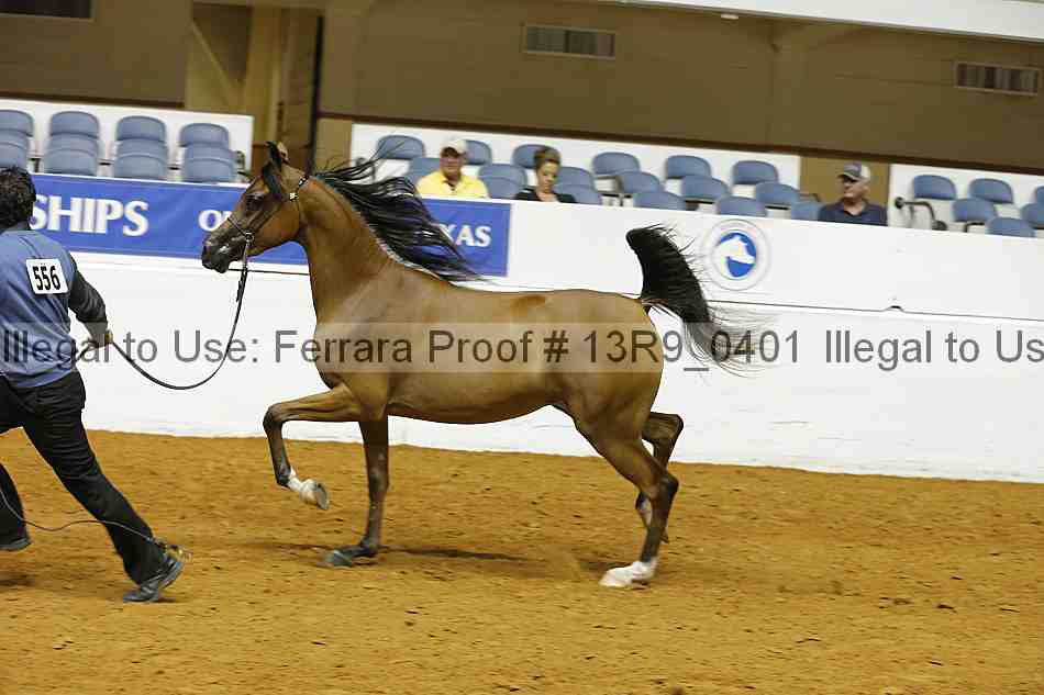 Proof 13r9_0401